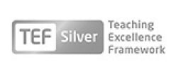 Teaching Excellence Framework accreditation logo