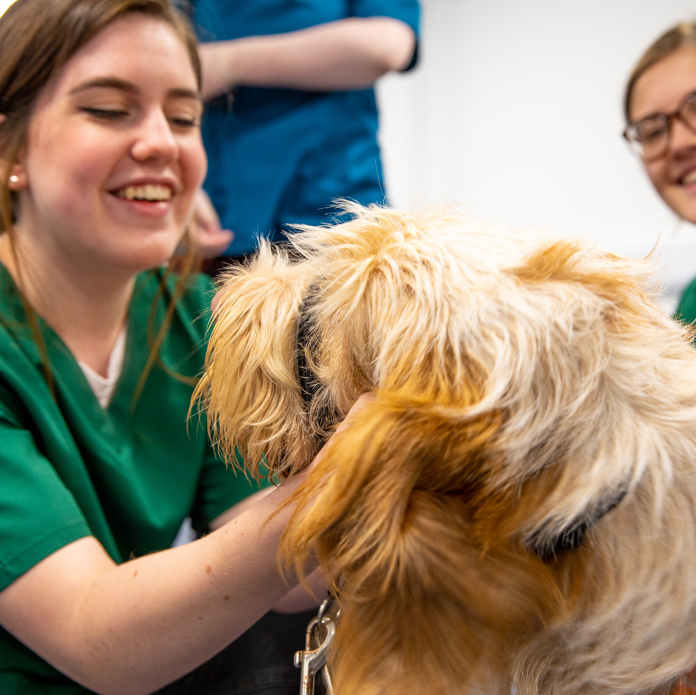 A veterinary nursing student is smiling and petting a brown dog